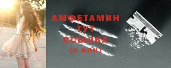 гидра Абаза