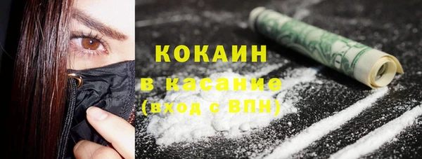 гидра Абаза